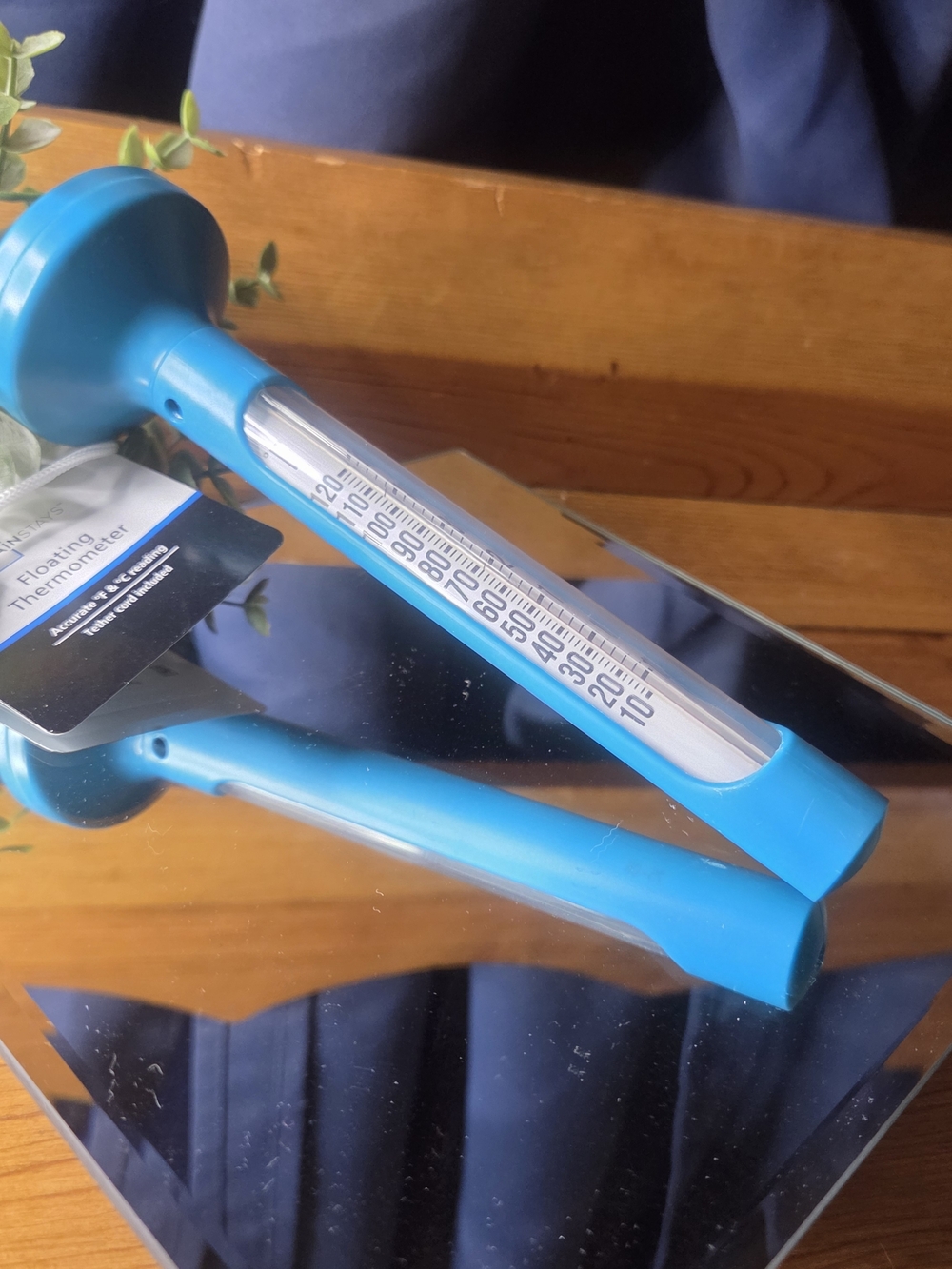 Floating Thermometer: Pool Spa Hot Tub Temp Reader NWT Chill Check Essential